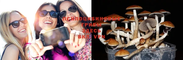мескалин Алексин